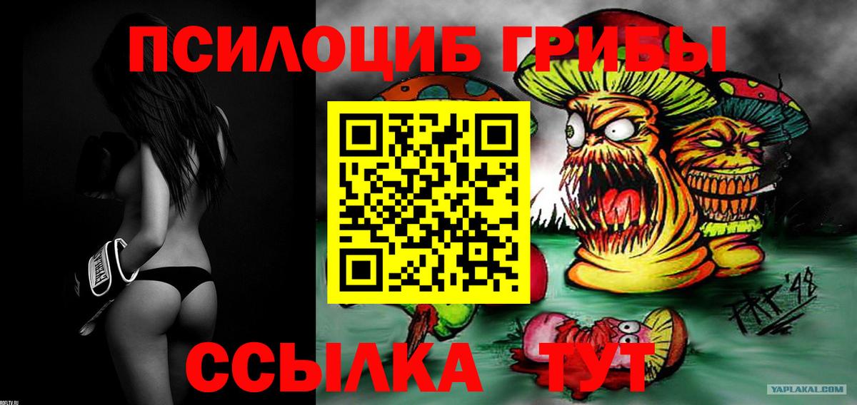 наркошоп  Псилоцибиновые грибы ЛСД  Вольск  Вход с VPN  Псилоцибиновые грибы MAGIC MUSHROOMS 